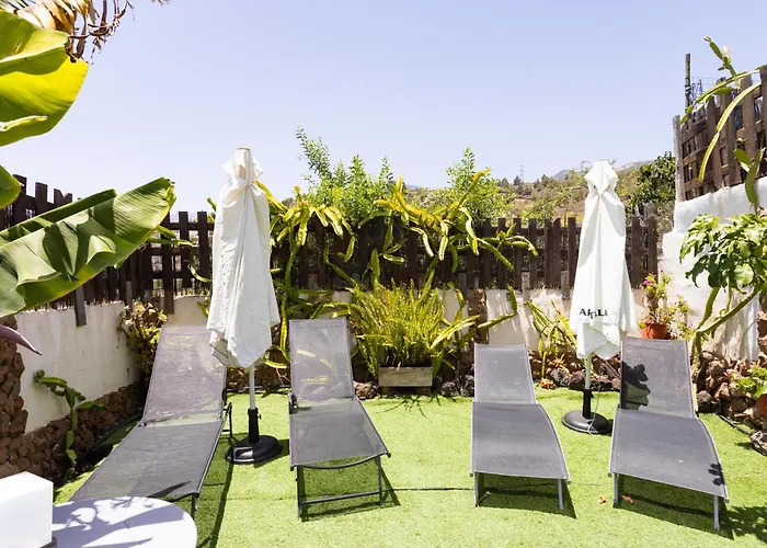 Live Araya Muy Mia Apartmán