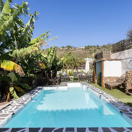 Live Araya Muy Mia *