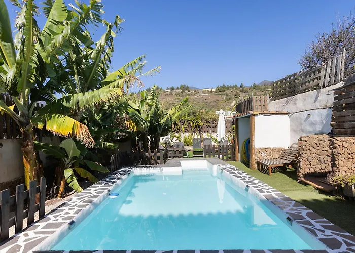 Live Araya Muy Mia *