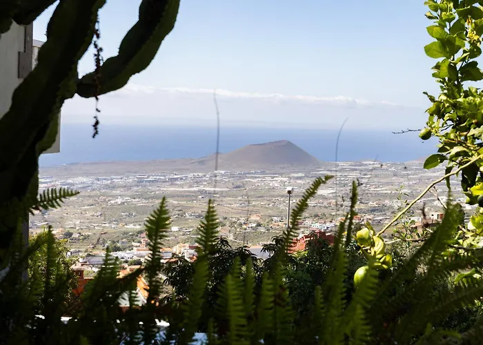 Апартаменты Live Araya Muy Mia