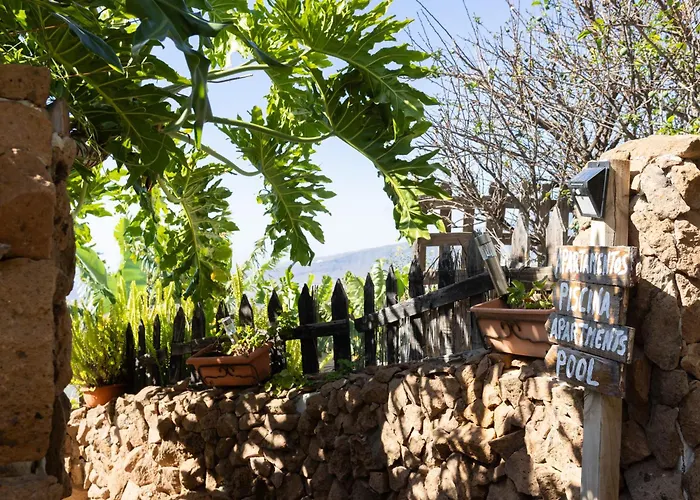 Апартаменты Live Araya Muy Mia Канделария