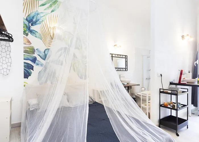 Live Araya Muy Mia *