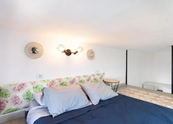 Live Araya Muy Mia Канделария