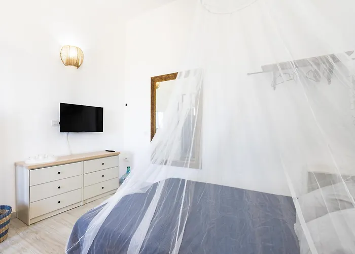 Live Araya Muy Mia *