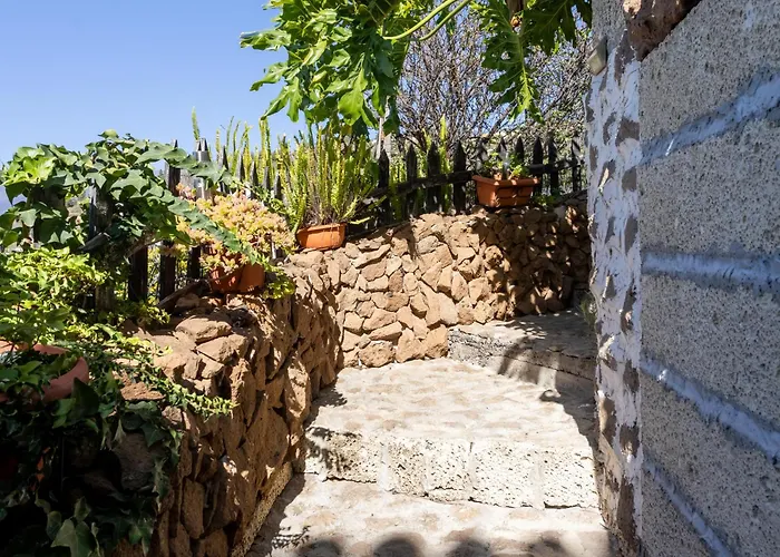 Live Araya Muy Mia Канделария